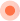 Bullet